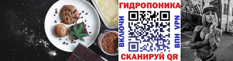 Купить закладки  Балахна  Cannafood марихуана 