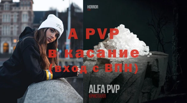 ешки Аркадак
