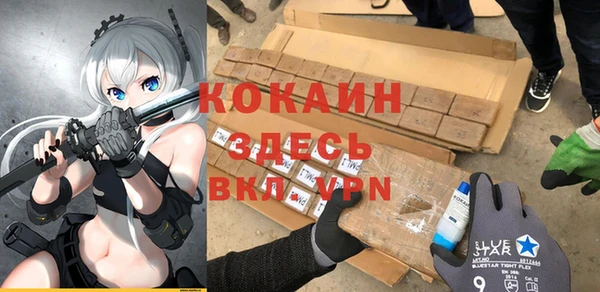 ешки Аркадак